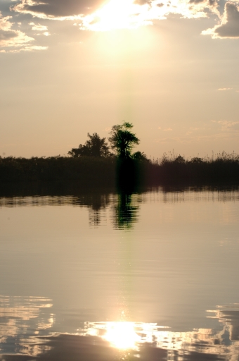Reflection pic 2 